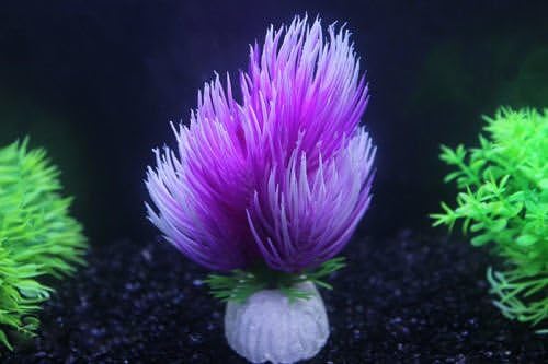 New Purple x1Pc Pet Supplies Ornament Water Grass Fish Tank Aquarium Decor Plant Lively Set04