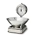 Salter 108 High Dial Kitchen Scale in Classic Chrome and Stainless Steel