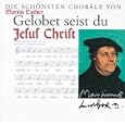 Produkt-Information