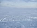 Pack Ice, Antarctic Peninsula, Weddell Sea, Antarctica, Polar Regions Photographic Poster Print by Thorsten Milse, 32x24