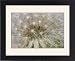 Framed Prints of -81 from Flpa