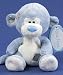ME TO YOU - MY BLUE NOSE FRIENDS - COCO THE MONKEY