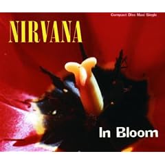 In Bloom