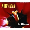 In Bloom