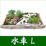 �y�������z�~�́E�~�i ���ԁiL�j