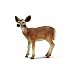 Schleich White-Tailed Doe
