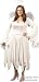 Adult Women's Plus Size Velvet Angel Costume (16-20)