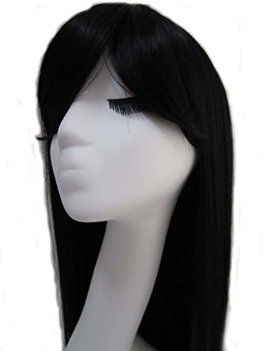 WY Blue Sky 30"75cm Black Long Full Silky Straight Layered Medium with Side Bangs Fringe Synthetic Costume Cosplay Wig for Women Glamour + Free Wig Cap