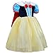 TIAOBU Girls Xmas Princess Cosplay Party Flowing Cape Costume Dress (2-3)