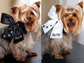 Best Pet Wedding Bow - White with Black Embroidery