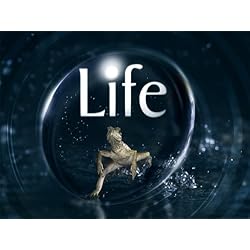 Life Season 1