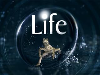 play video on Amazon Instant Video