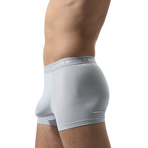David Archy Men's 4 Pack Micro Modal Separate Pouches Trunks (L,Gray