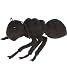 Plush Ant with Sound 7"
