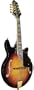 Gold Tone Rigel GM-110 Mandolin (Spurce)
