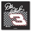NASCAR # 3 Dale Earnhardt Seat Cushion/Tote