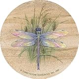 Dragonfly Sandstone Thirstystone Coasters
