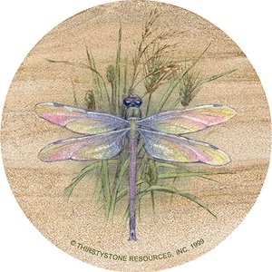 Dragonfly Sandstone Thirstystone Coasters