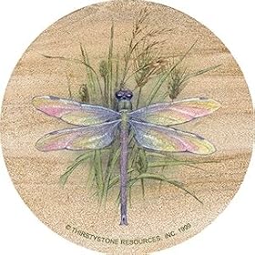 Dragonfly Sandstone Thirstystone Coasters by Thirstystone