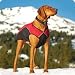 Ruffwear K9 Dog Protective Overcoat XLarge Blue/Black