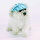 Blue Madras Plaid Dog Visor (Dog Hat) - Large