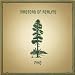Masters Of Reality-Pine / Cross Dover