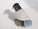 Natural Gemstone Aragonite Bird Carving Figurine 3.0"