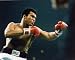 �u���}�C�h�ʐ^�����n���h�E�A��Muhammad Ali/�����ō\����E�J���[
