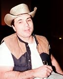 ROBERT BLAKE 8X10 COLOR PHOTO