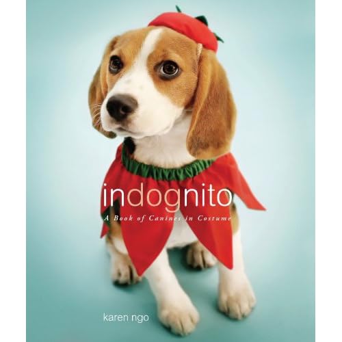 InDognito