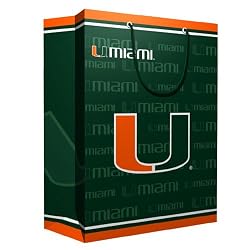 Miami Hurricanes NCAA Medium Gift Bag (9.75 Tall) by Pro Specialties Group
