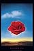 Salvador Dali Art Poster Medatative Rose 24x36