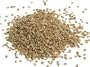 Ajika Organic Ajwain Seed, Bishops Weed, Carom