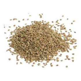 Ajika Organic Ajwain Seed, Bishops Weed, Carom