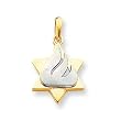 14k Two-tone Star of David Pendant