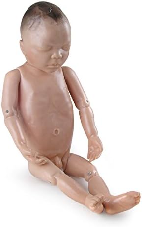Lifesize Mature Fetus Model - Educational Anatomical Model