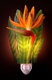 Flowers of Light Night Lights Bird of Paradise