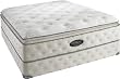 Simmons Beautyrest World Class Black River Bay Plush Super Pillow Top Mattress Set, Queen