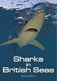Sharks in British Seas