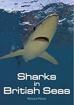 Sharks in British Seas
