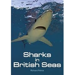 Sharks in British Seas