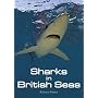 Sharks in British Seas