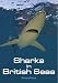 Sharks in British Seas