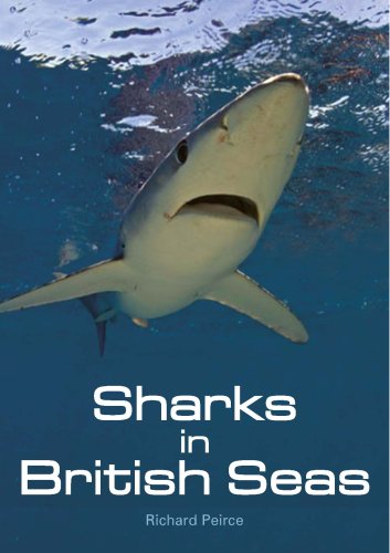 Sharks in British Seas