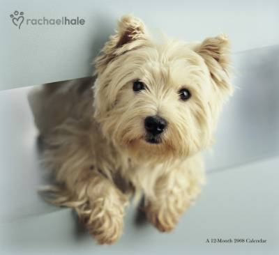 Buy Dogs by Rachael Hale 2008 Wall Calendar