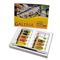 Winsor & Newton Galeria Acylic Colour Complete Paint Set