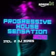 Progressive House Sensation 2010