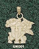 Univ Of Kentucky Wildcat Charm/Pendant -14K/10K, Stainless Steel or Gold Plated