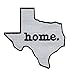 Texas State Home Logo Iron On Embroidered Applique Patch