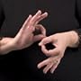 Signing Naturally Student Video Texts - Level 2 (American Sign Language Series - Functional Notional Approach) [2 VHS Video Box Set]